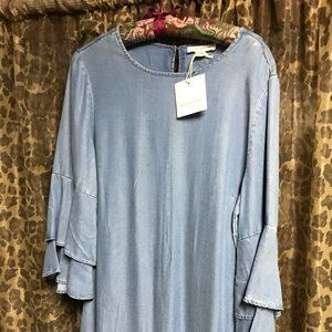 NWT Denim Dress with Ruffle Sleeves